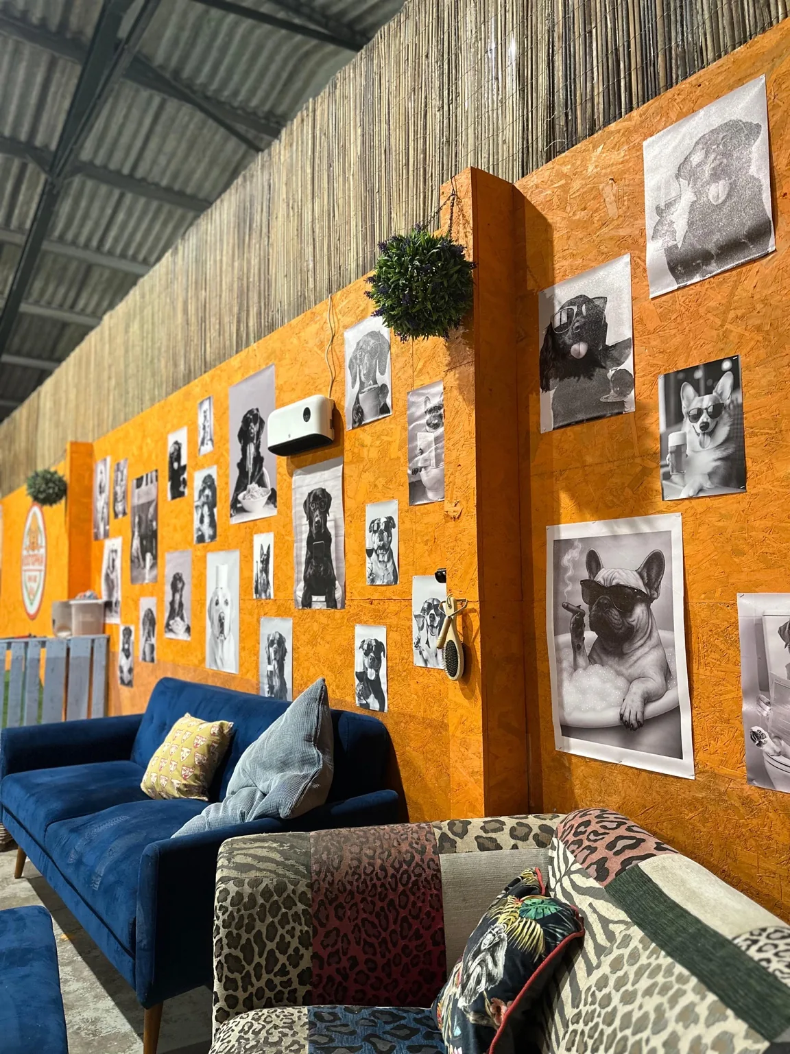 Indoor play space overview