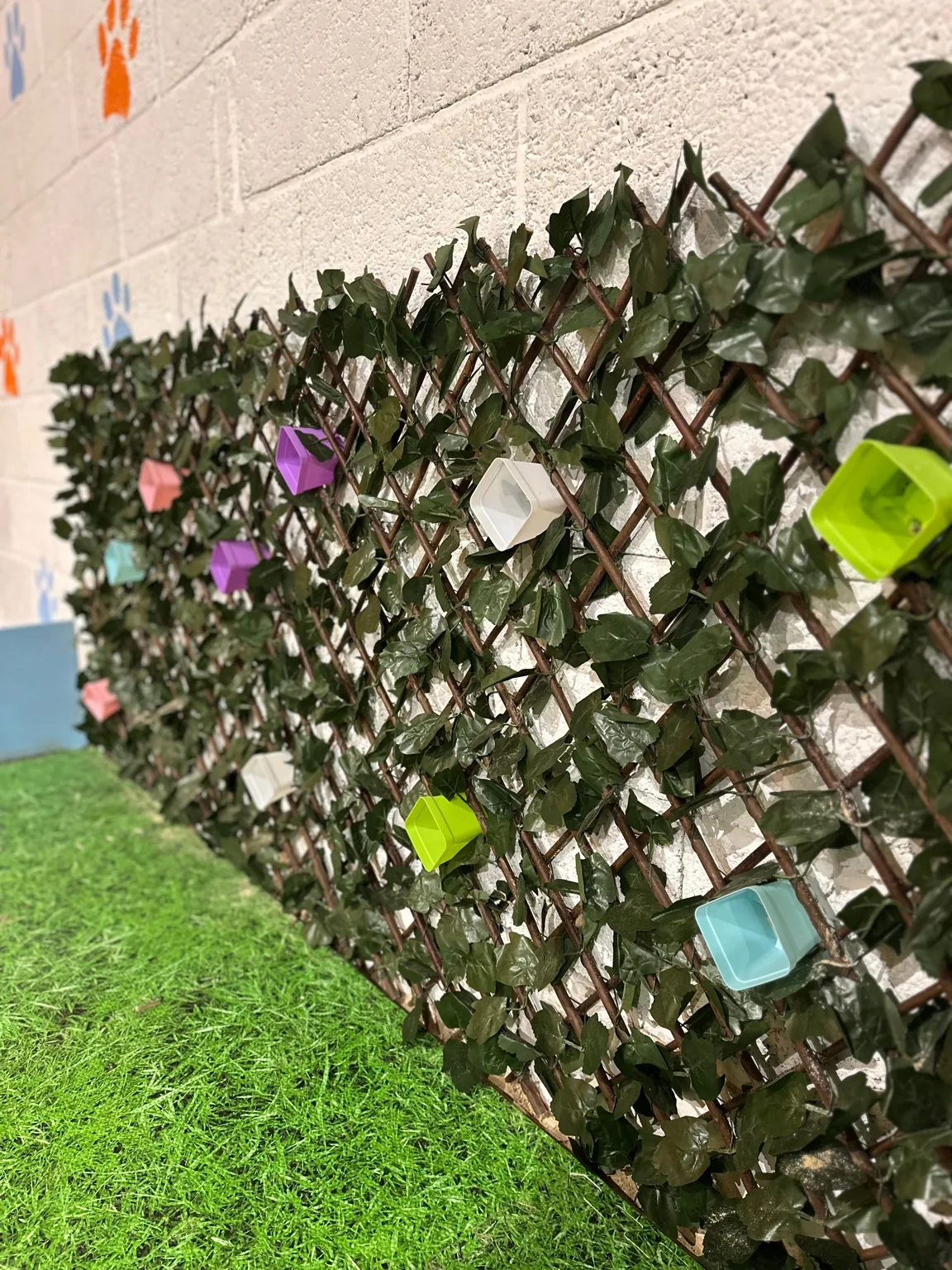 Wide view of the daycare hall