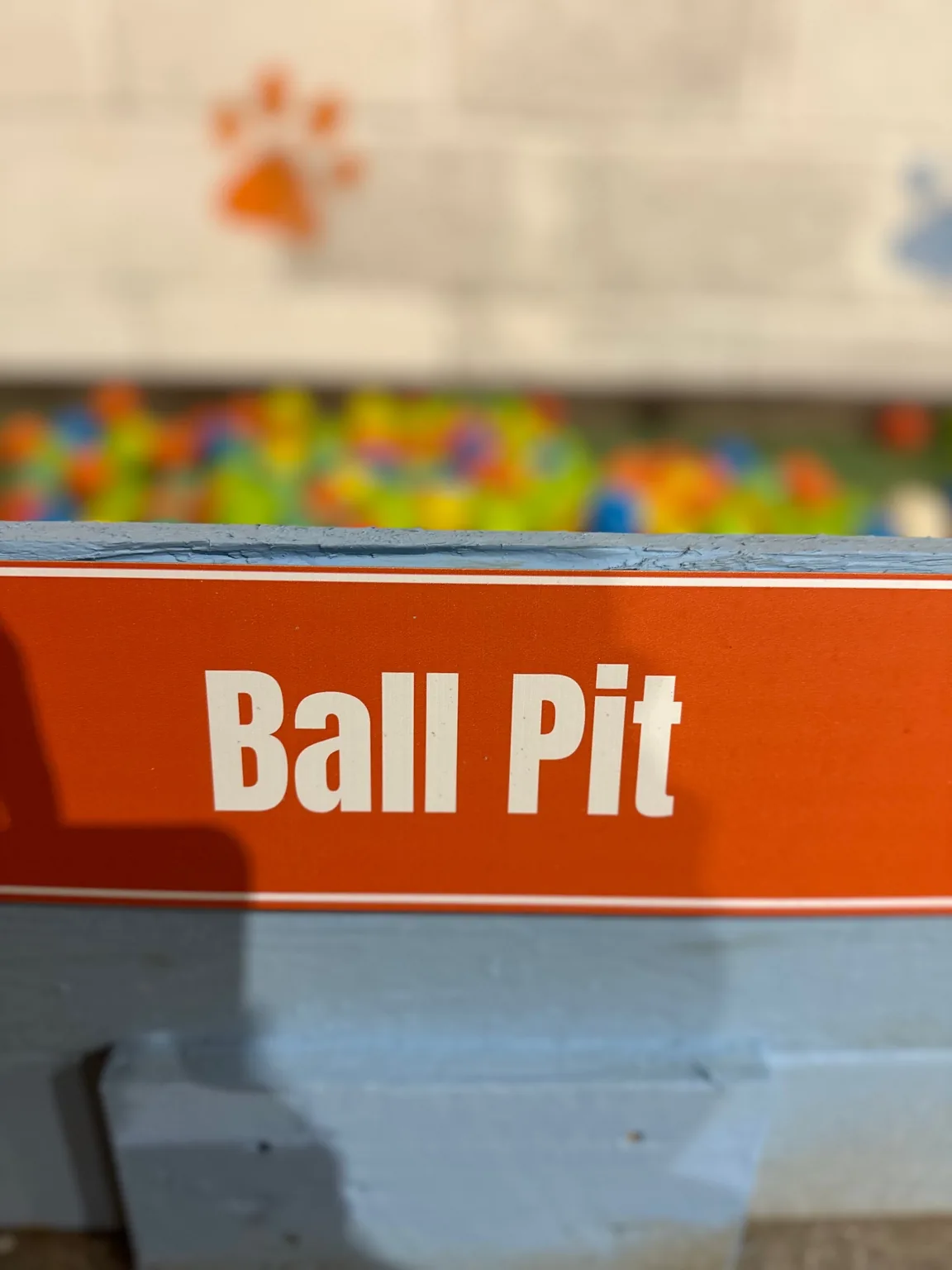 Enrichment wall for dogs