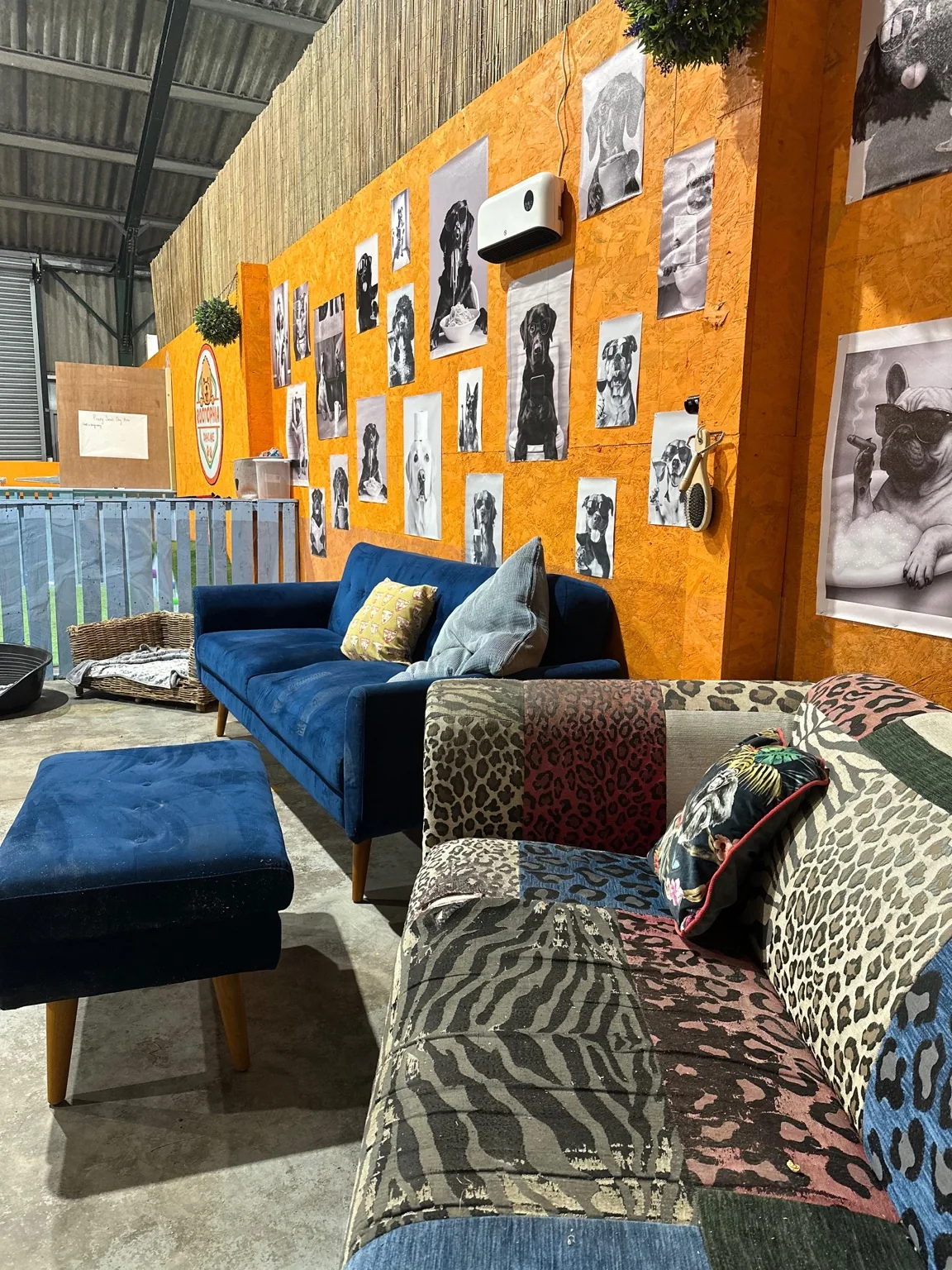 Rootophia Daycare logo wall