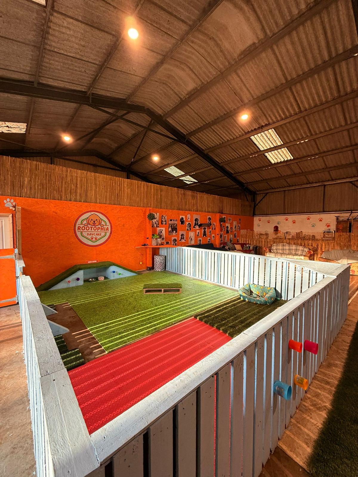 Dogs enjoying daycare at Rootophia in Attleborough