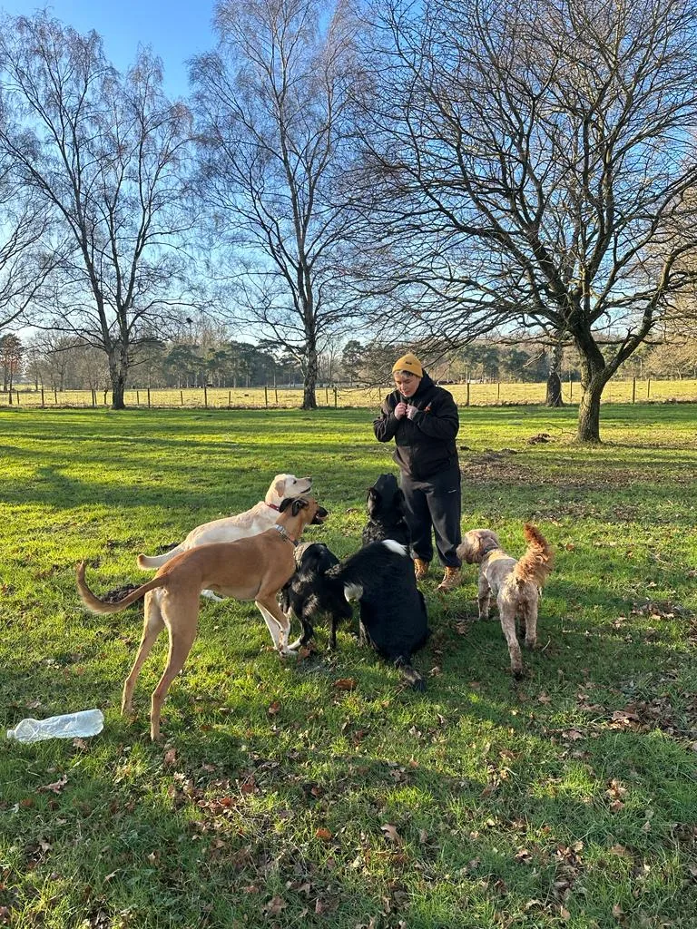 Adventure play group in the field