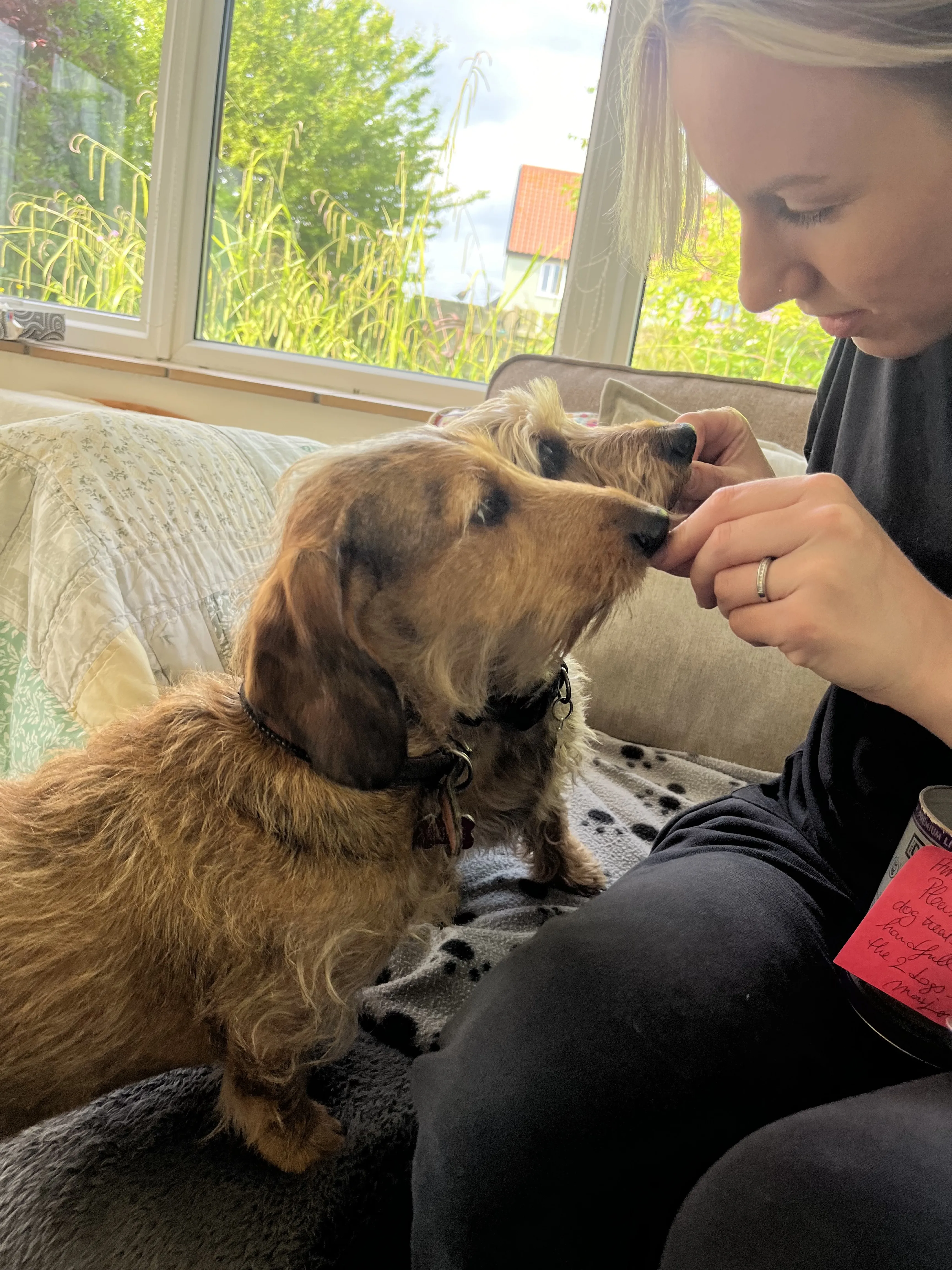 Positive reinforcement and bonding