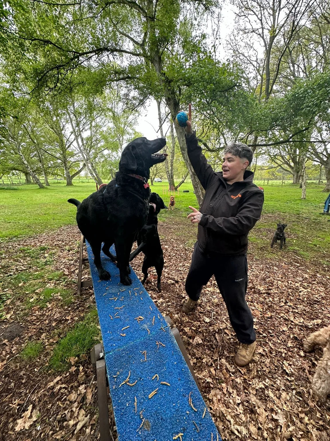 Training and engagement during play