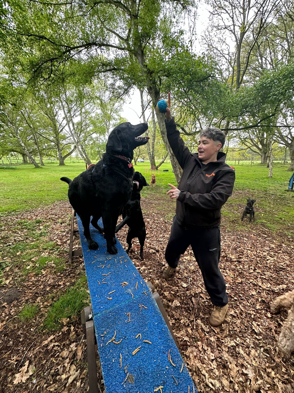 Rootophia Pet Services photo 6