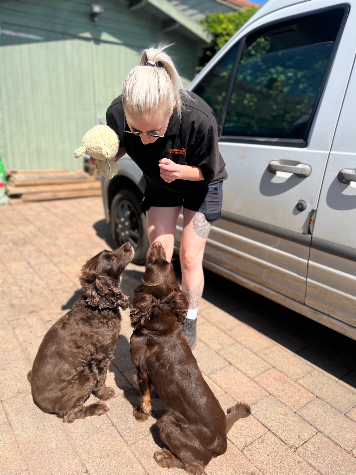 Rootophia Pet Services photo 7