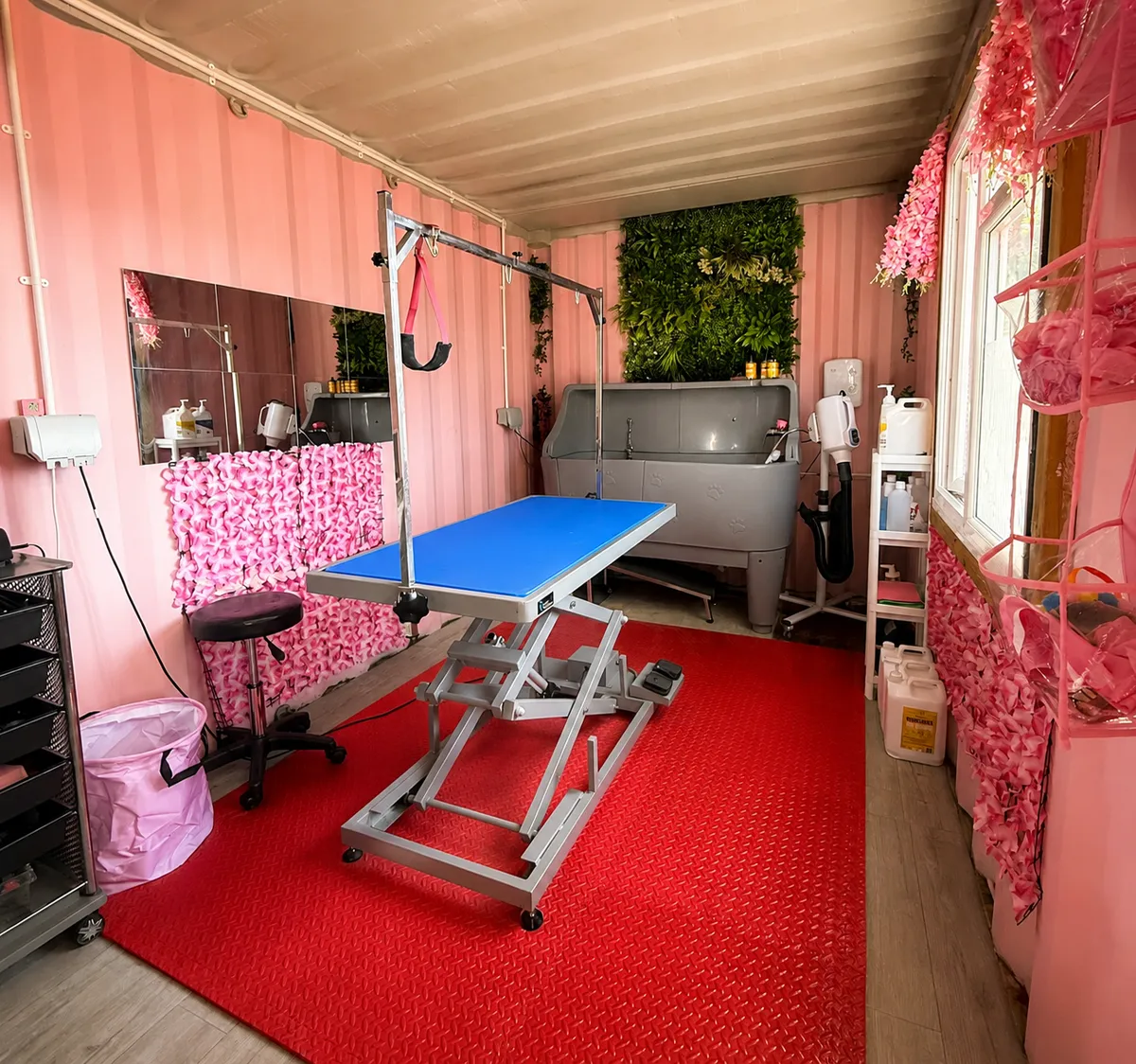 Inside the Rootophia Groom salon — a hydraulic grooming table, professional bathing tub, dryer and a calm, spotless grooming space