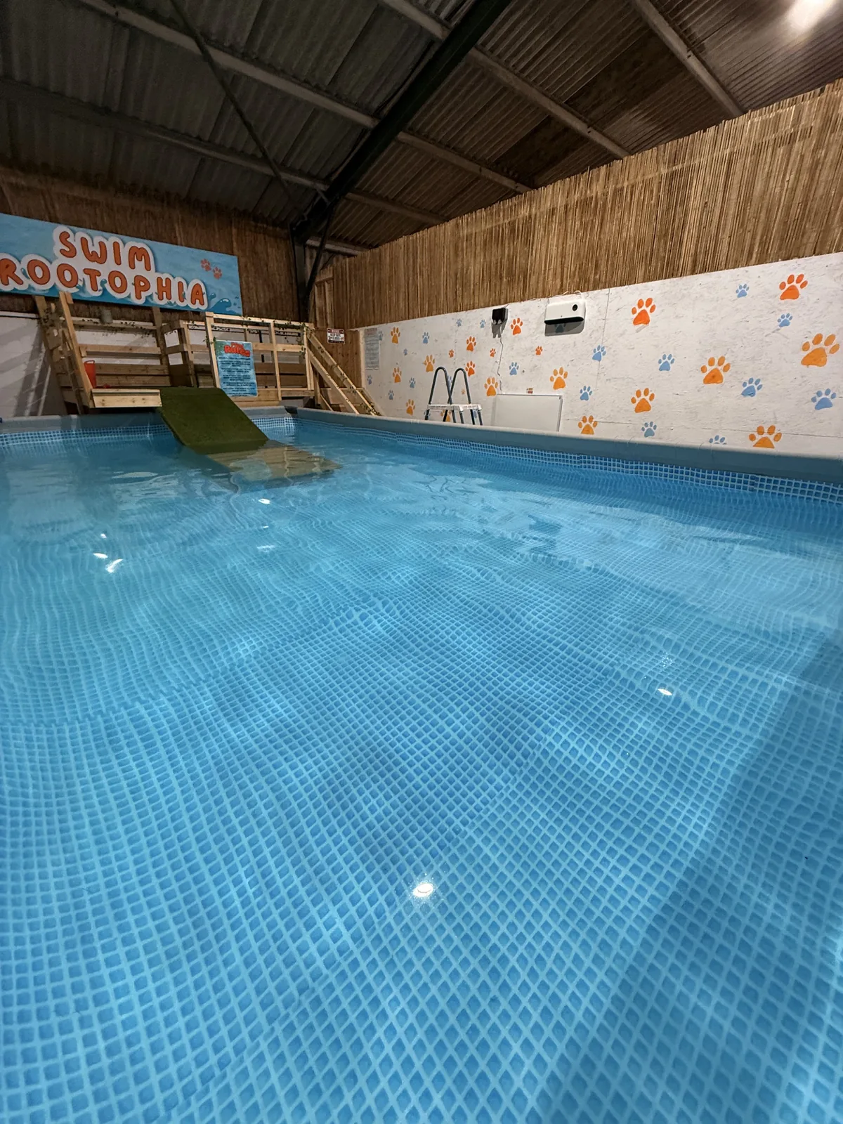 Wide view of the Swim Rootophia pool and ramp
