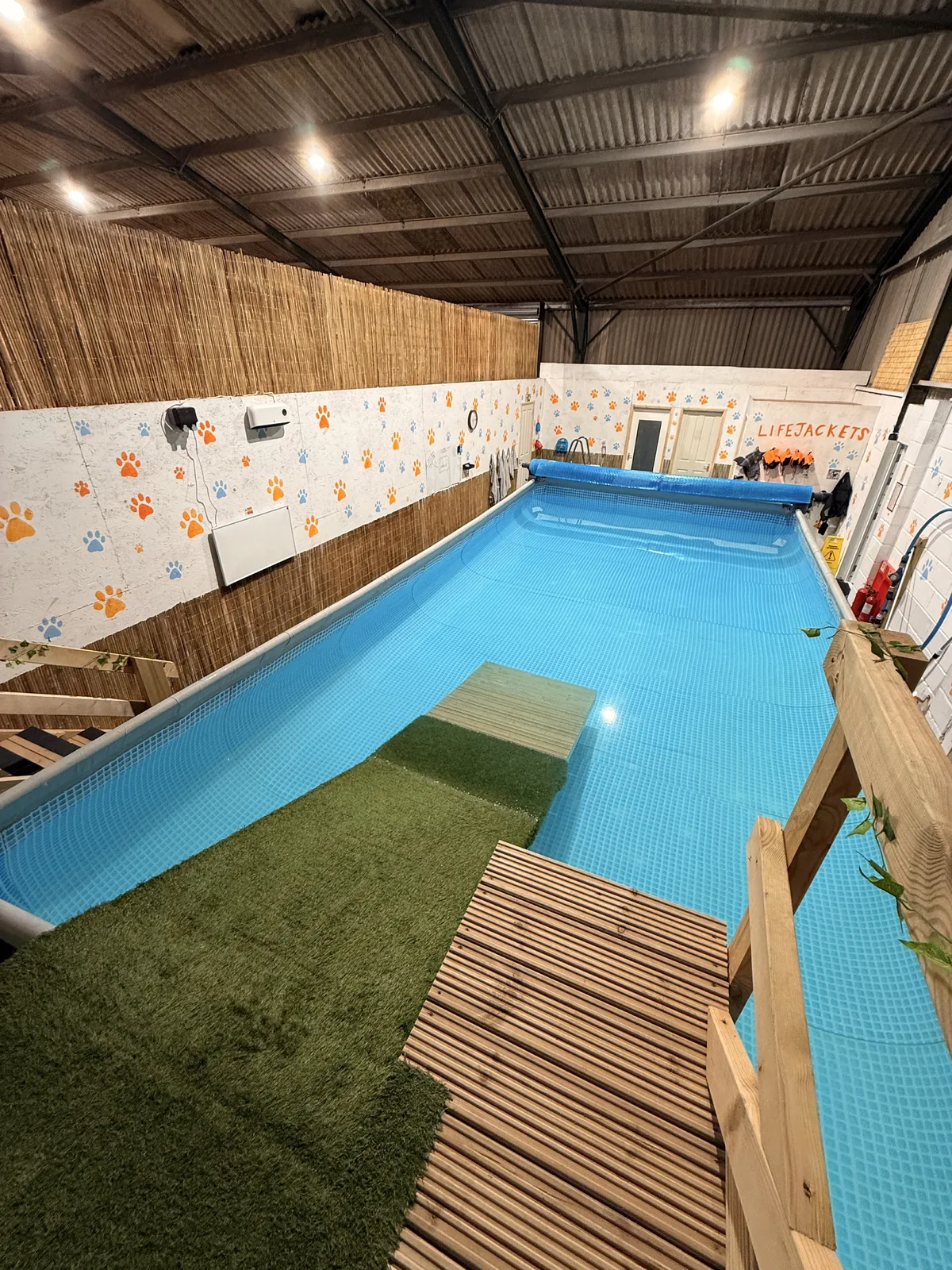 Swim Rootophia poolside wall